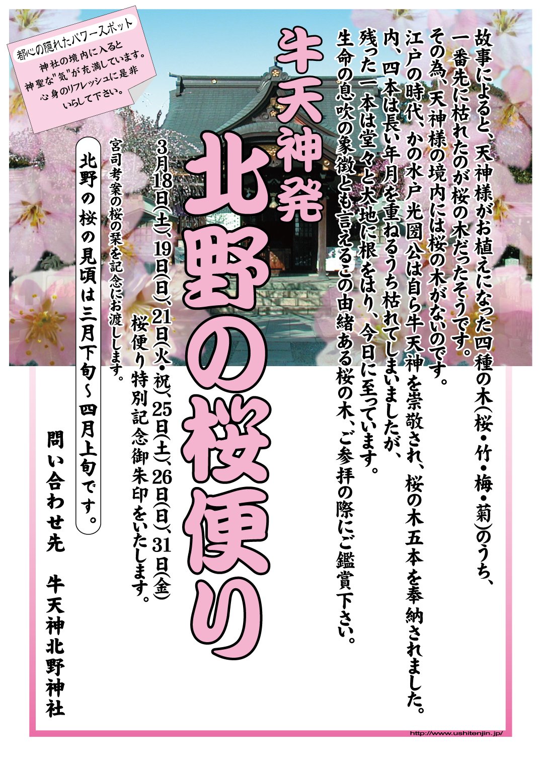 故事によると、天神様がお植えになった四種の木のうち、一番先に枯れたのが桜の木だったそうです。その為か、天神様の境内には桜の木が少ない、といいます。その昔、当社でも五本の桜を植えましたが四本は枯れてしまいました。しかし、残った一本は堂々と大地に根を張り、今日に至っています。命の息吹の象徴とも言えるこの桜の木、ご参拝の際にご鑑賞ください。